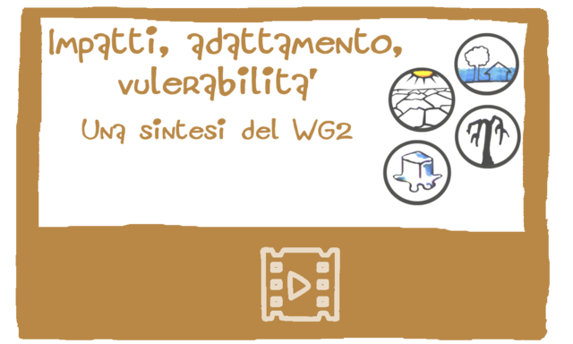 Adattamento, Vulnerabilita' Impatti