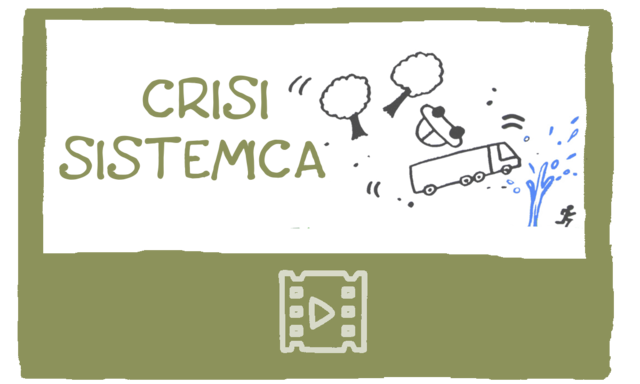 crisi sistemica